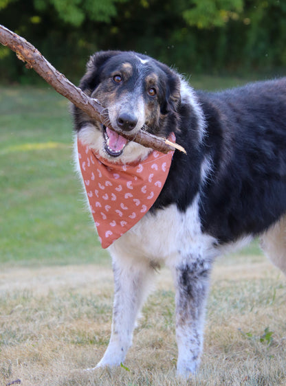 Burnt Orange Rainbow Bandana