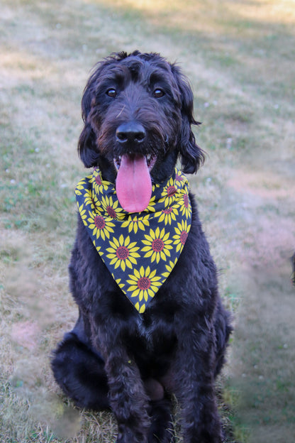 Sunflower Bandana