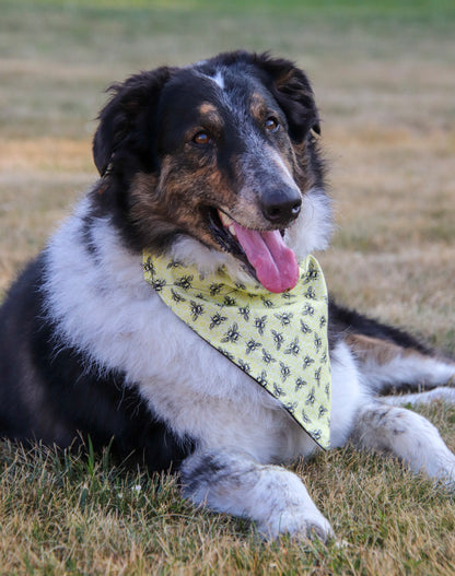 Yellow Bee Bandana