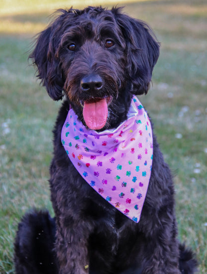 Purple Rainbow Pawprint Bandana