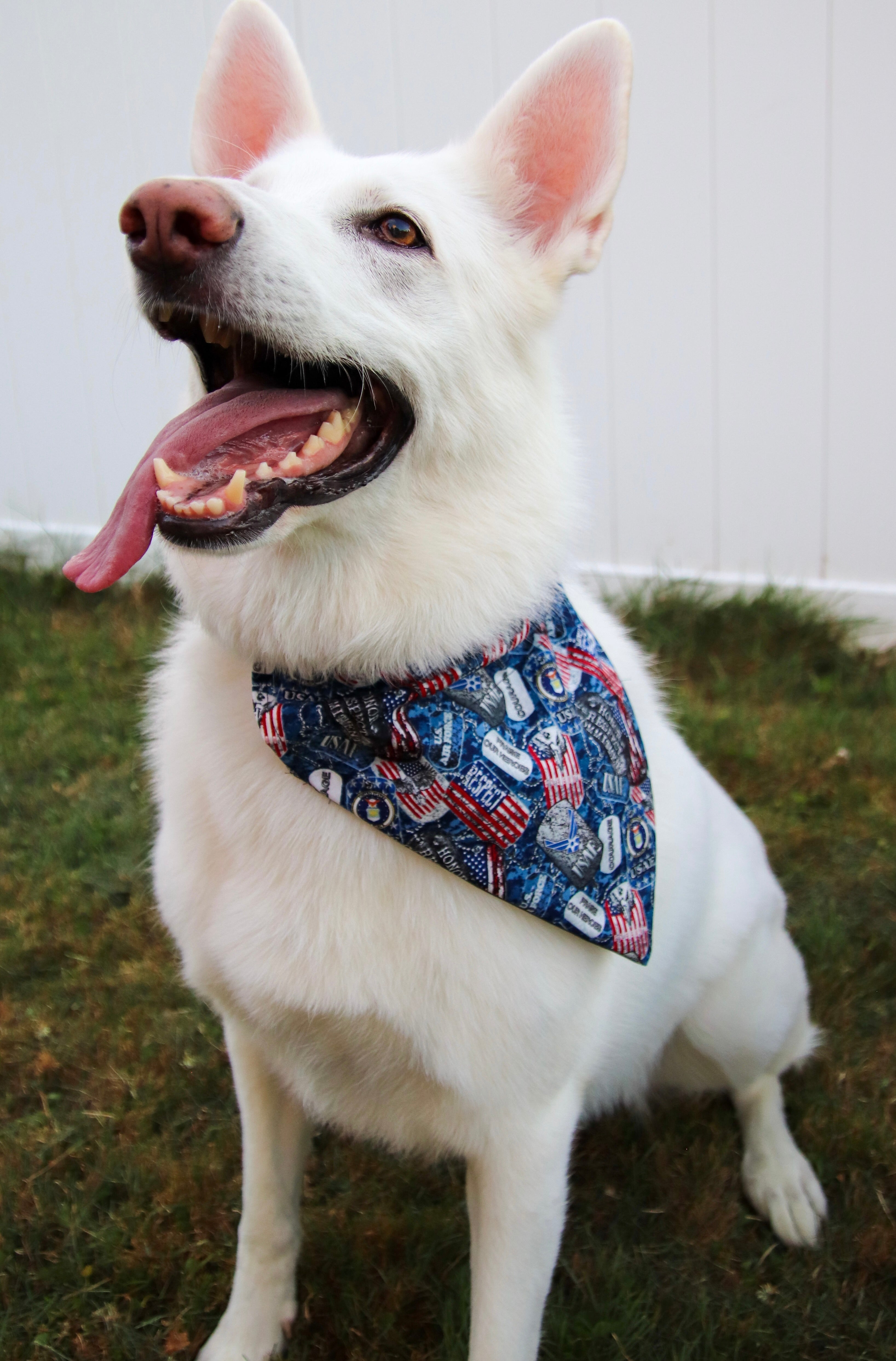 Air force dog bandana hotsell