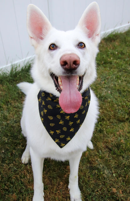 Black Bee Bandana