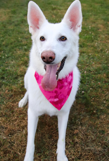 Dark Pink Camo Bandana