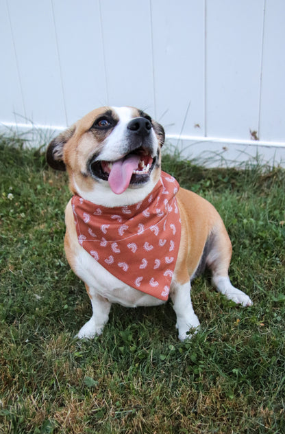 Burnt Orange Rainbow Bandana