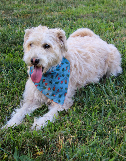 Bug Bandana