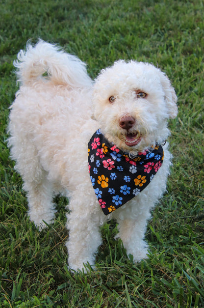 Watercolor Pawprint Bandana