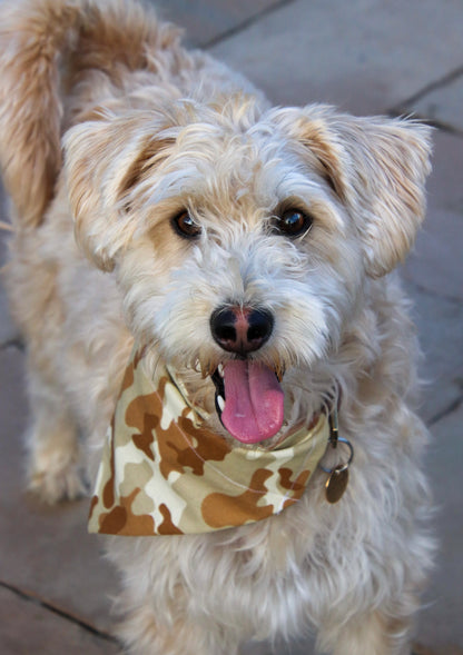 Tan Camo Bandana