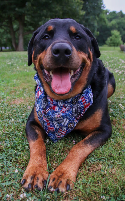 US Navy Bandana