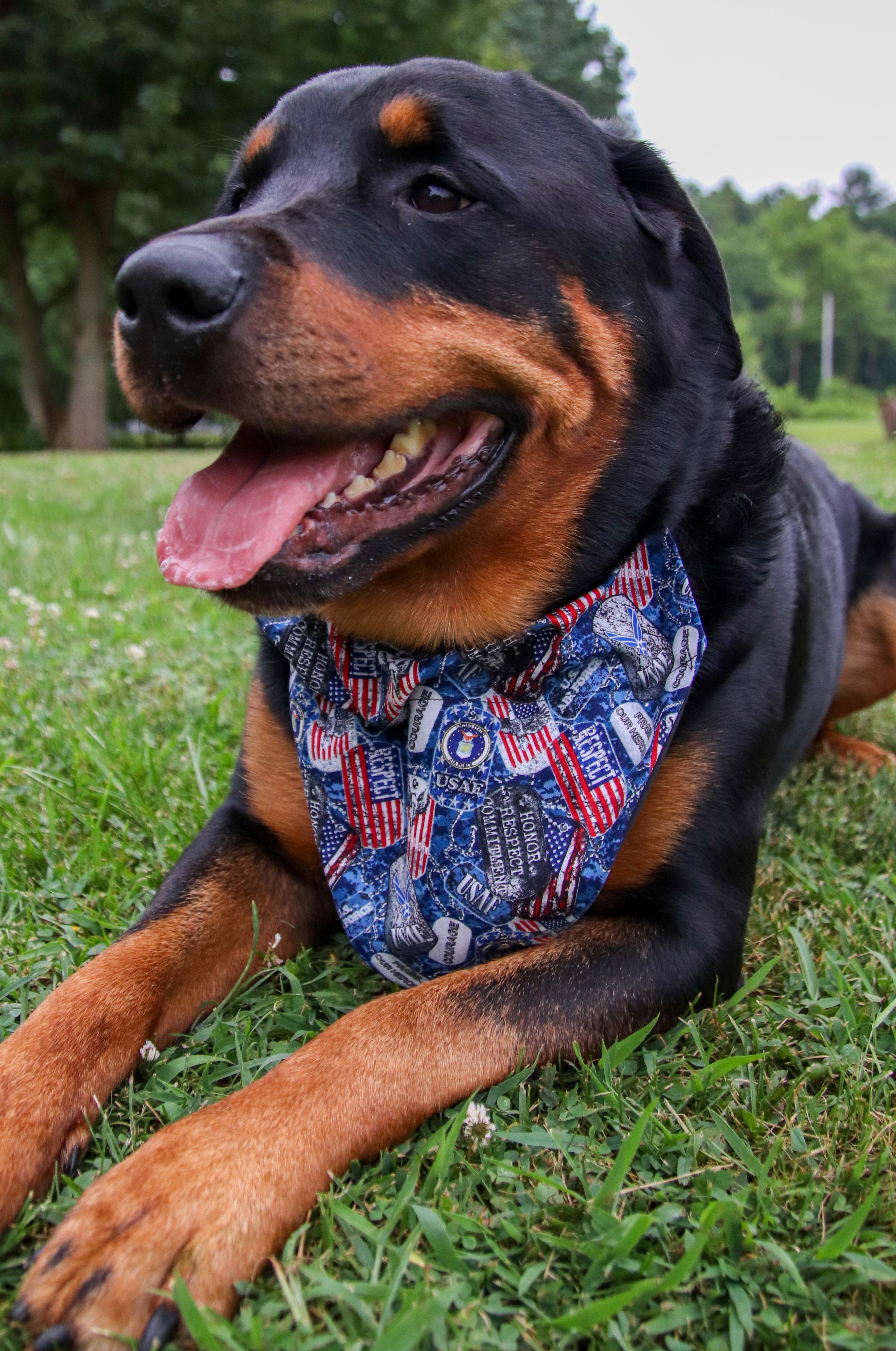 US Air Force Bandana