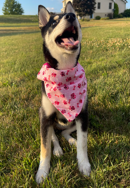 Pink Pawprint Bandana