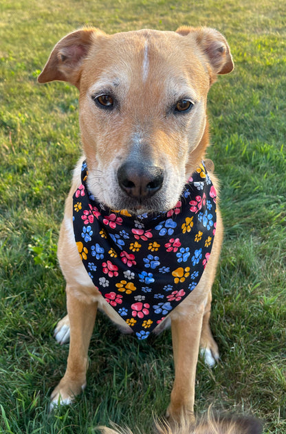 Watercolor Pawprint Bandana