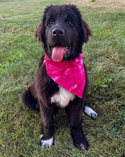 Dark Pink Camo Bandana