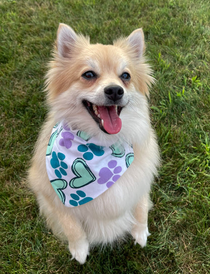 Fuzzy Heart Bandana