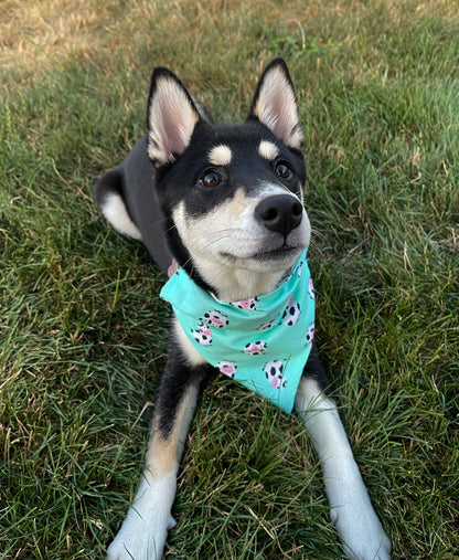 Cow Bandana