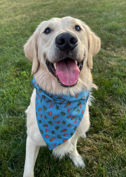 Bug Bandana