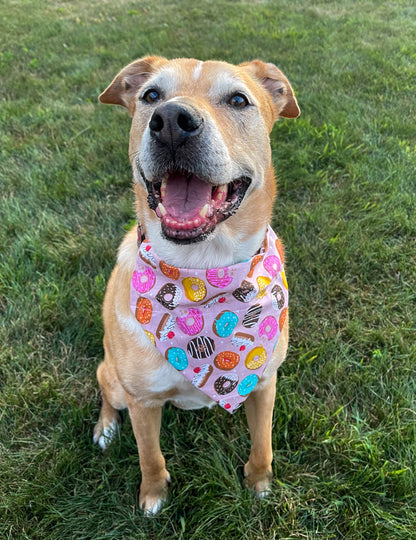 Donut Bandana