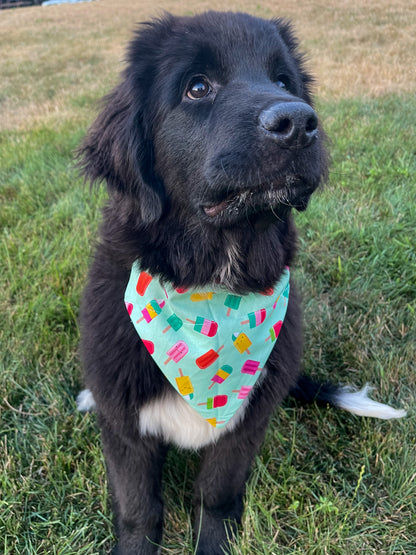Popsicle Bandana
