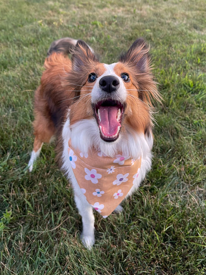 Tan Floral Bandana