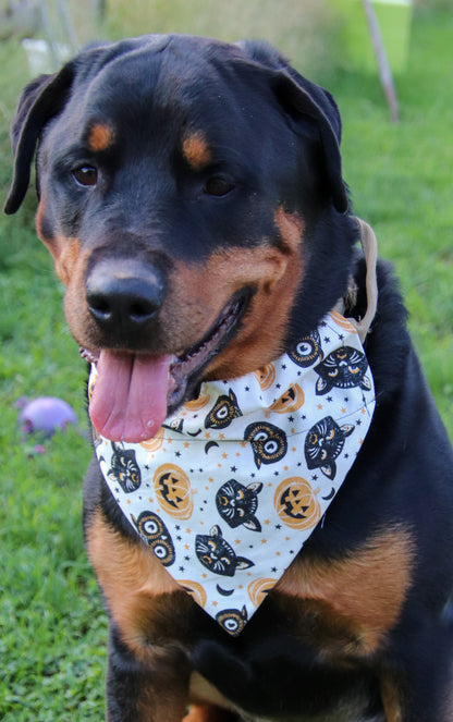 Cat, Owl & Pumpkin Bandana