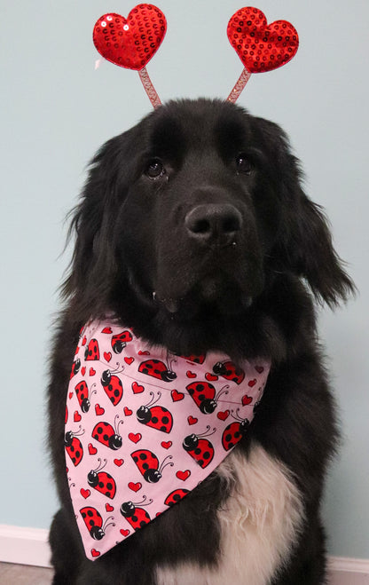 Valentine’s Day Lady Bug Bandana