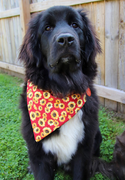 Red Fall Sunflower Bandana