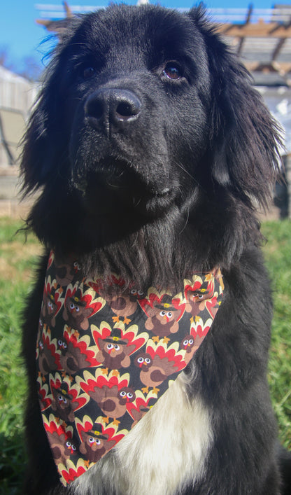 Turkey Bandana