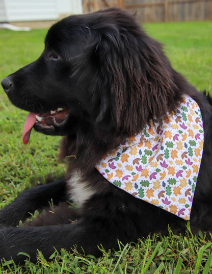 Fall Leaf Bandana