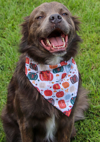 Fall Pumpkin Bandana