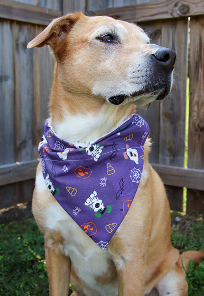 Purple Ghost Dog Bandana