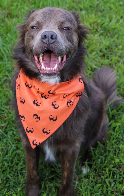 Orange Pumpkin Bandana