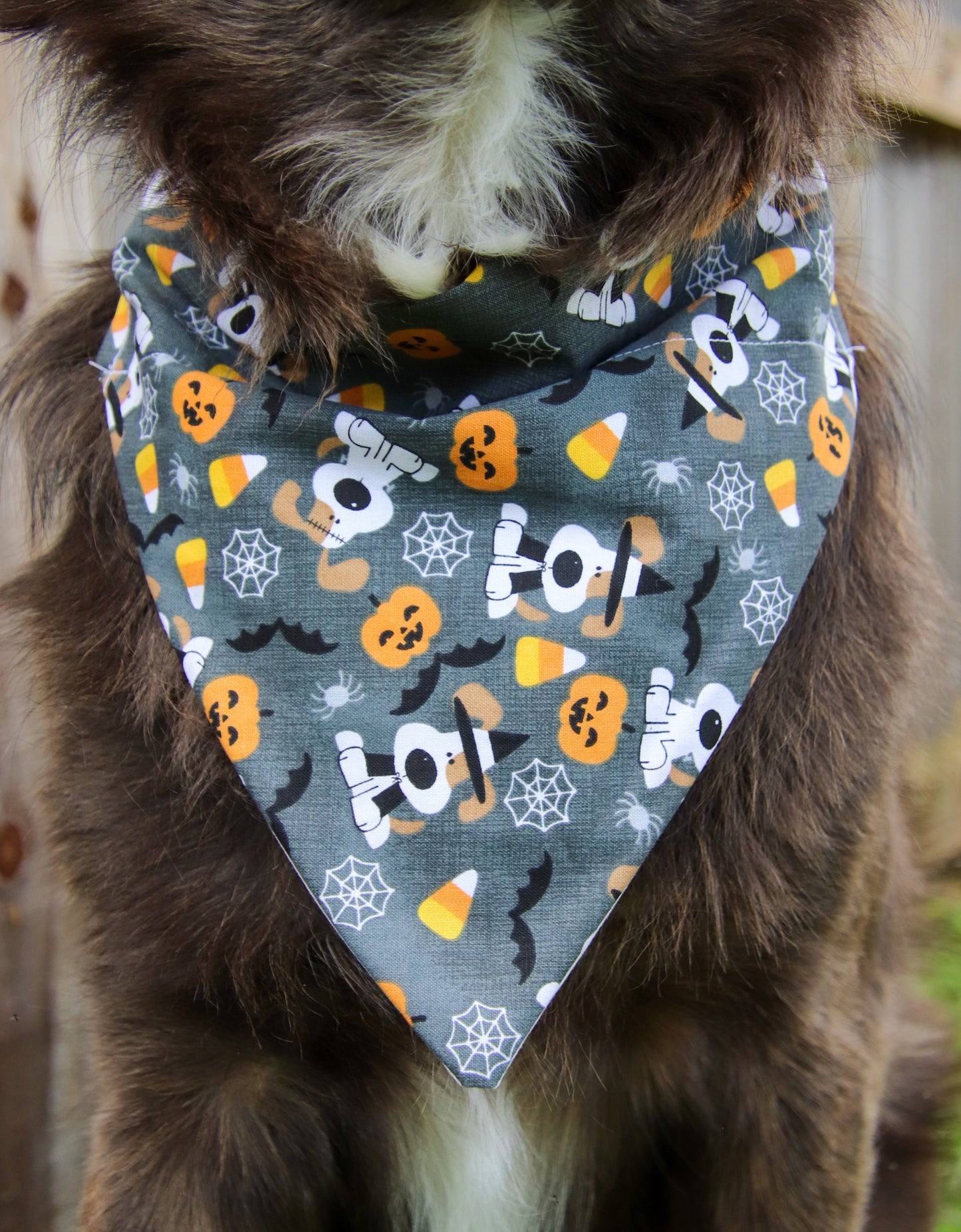 Gray Halloween Dog Bandana