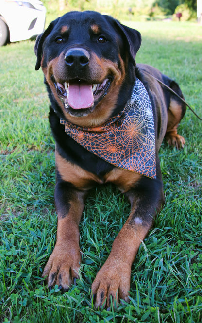 Glitter Spiderweb Bandana