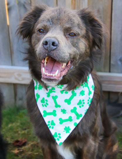 St.Patrick’s Day Bone Bandana
