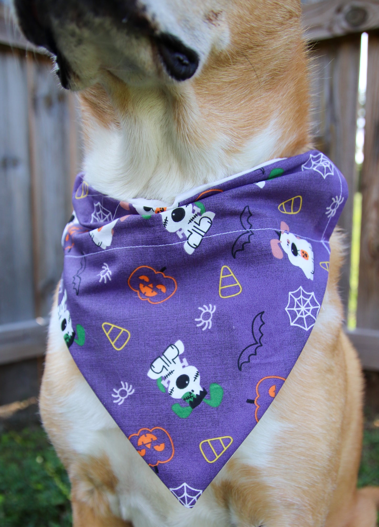 Purple Ghost Dog Bandana