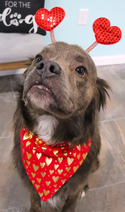 Red & Gold Heart Bandana
