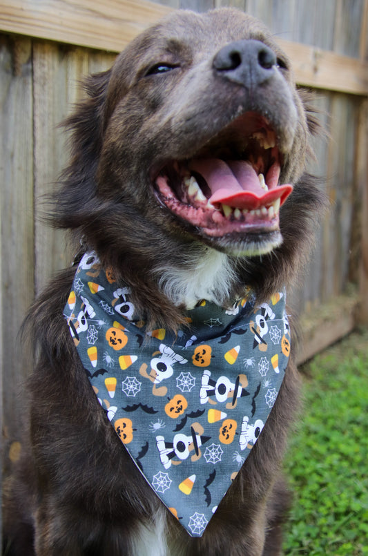 Gray Halloween Dog Bandana