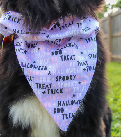 Purple/Pink Halloween Bandana