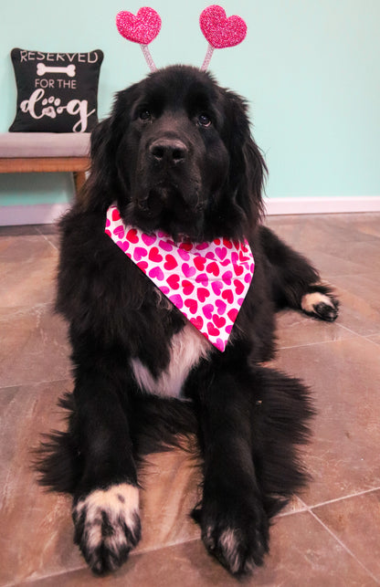 Red/Pink/White Heart Bandana